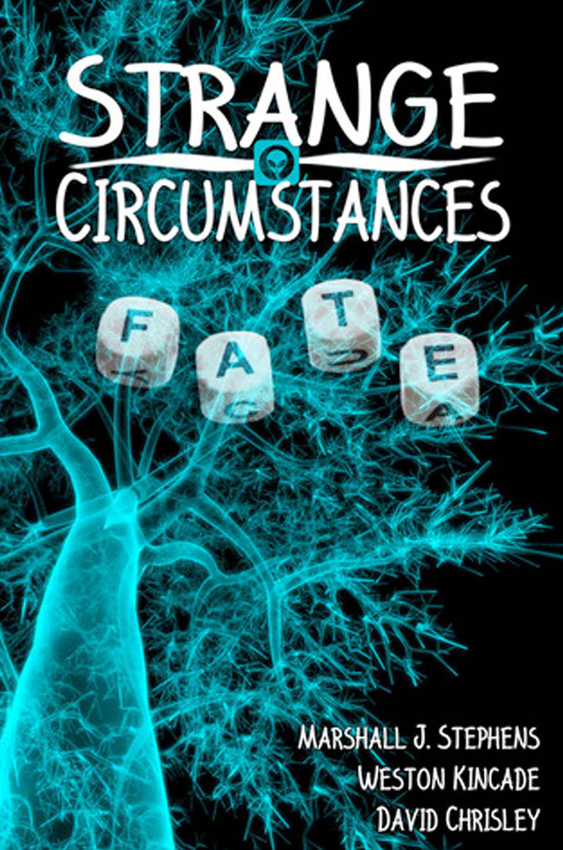 strange-circumstances-strikes-a-chord-kincade-fiction